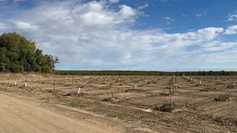 Primary Photo Of 28815 County Road 12A, Esparto Land For Sale