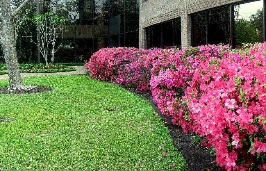 More Photos Of 4544 Post Oak Pl, Houston Office For Lease