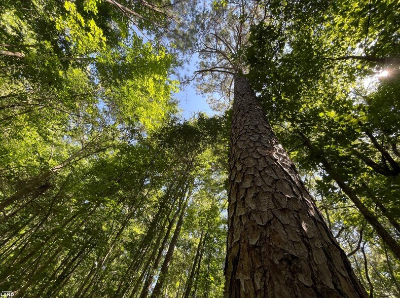 More Photos Of 0 Highway 83 North, Jefferson Land For Sale