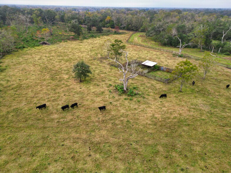 More Photos Of 3559 FM 521 Rd, Brazoria Specialty For Sale