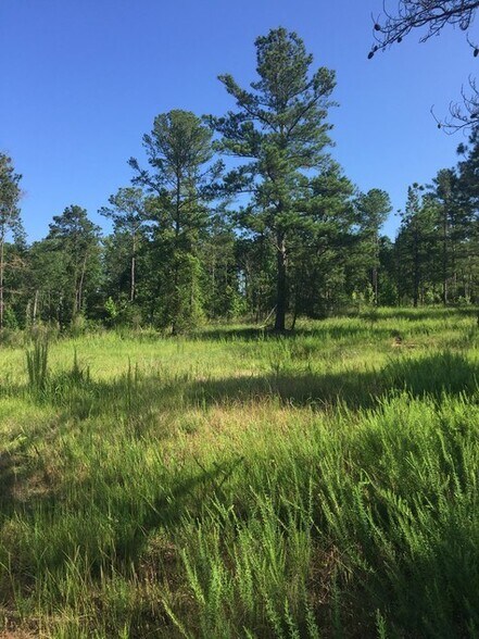 Primary Photo Of 9139 Veterans Parkway, Fortson Land For Sale