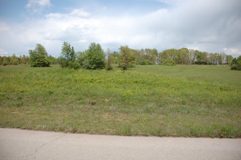 More Photos Of 000 Goodhard, West Plains Land For Sale