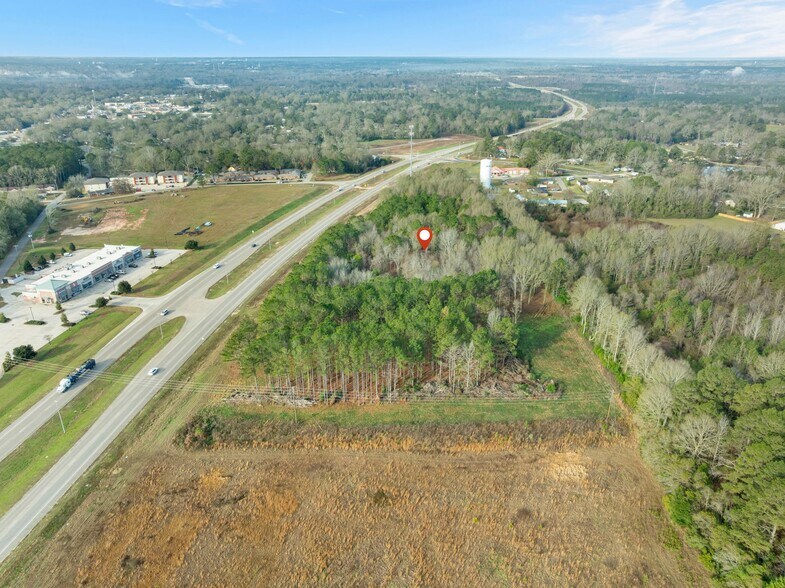 More Photos Of 1115 Evelyn Gandy Pky, Petal Land For Sale