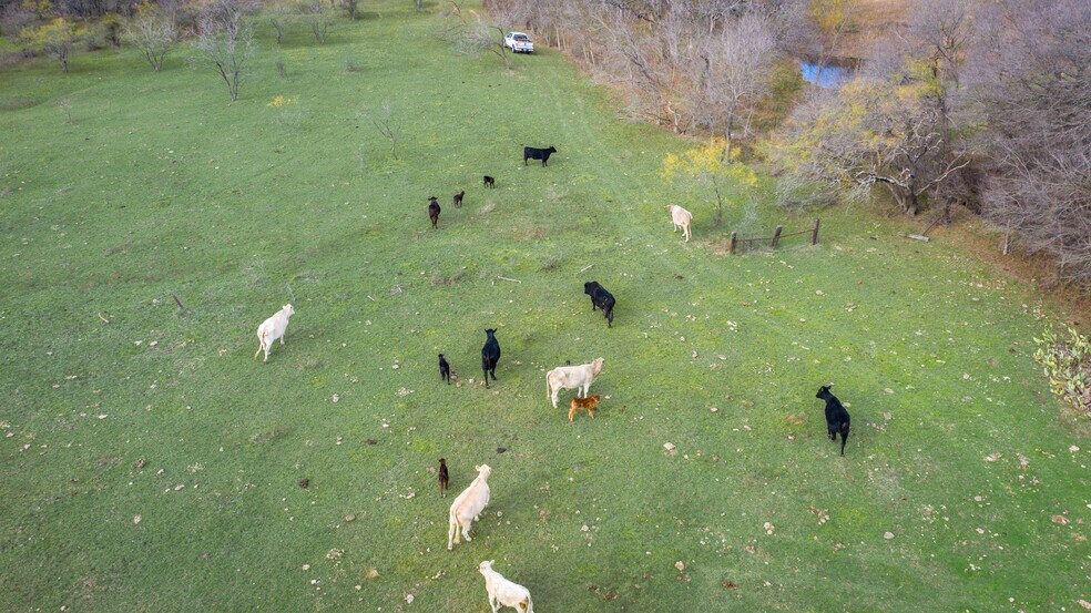 More Photos Of 955 Jack Eastham, Avalon Land For Sale