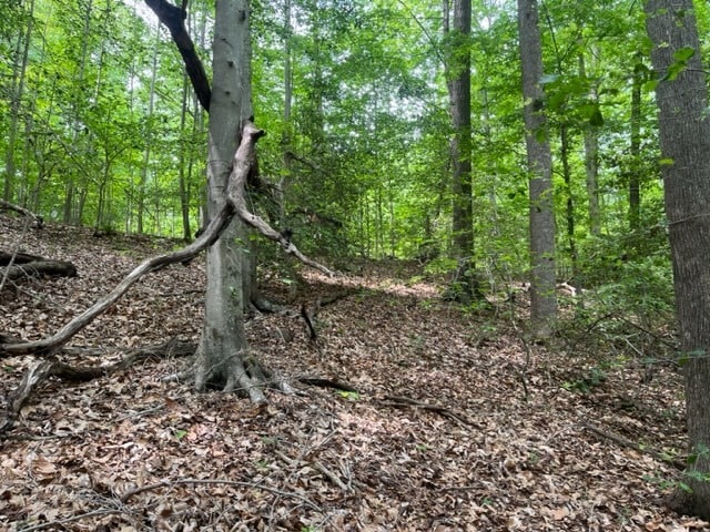 More Photos Of 7585 Mason Springs Rd, La Plata Land For Sale