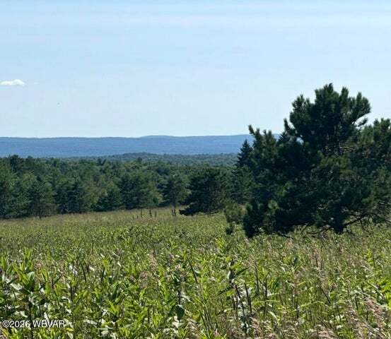 Primary Photo Of Beech Creek Mountain Rd, Beech Creek Land For Sale