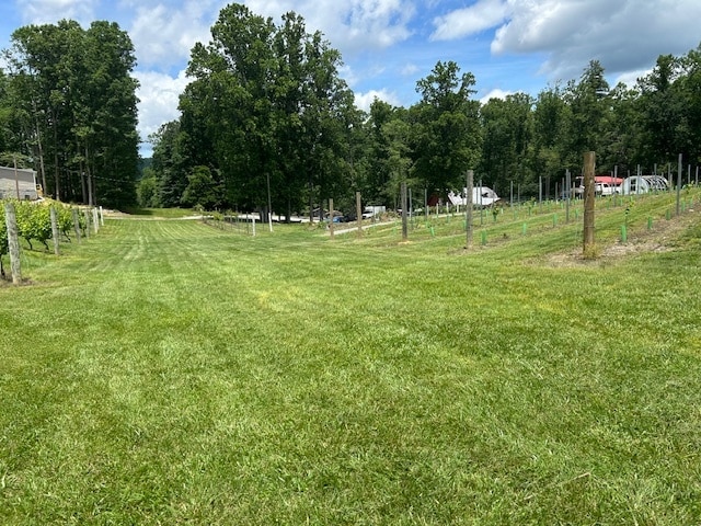 More Photos Of 124 Sandy Hill Ln, Hendersonville Winery Vineyard For Sale