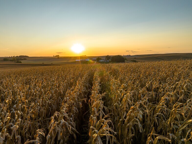 County Highway N44 / Timber Avenue, Coon Rapids, IA 50058 Land