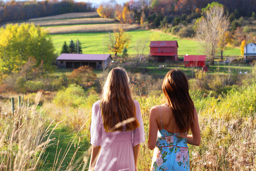 More Photos Of 538 N Harpersfield Rd, Jefferson Specialty For Sale