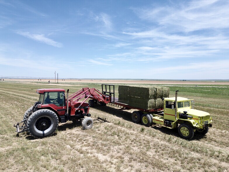 More Photos Of 48999 County Road 48, Model Land For Sale