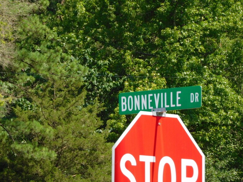 More Photos Of 103 Bonnieville Dr, Calera Land For Sale