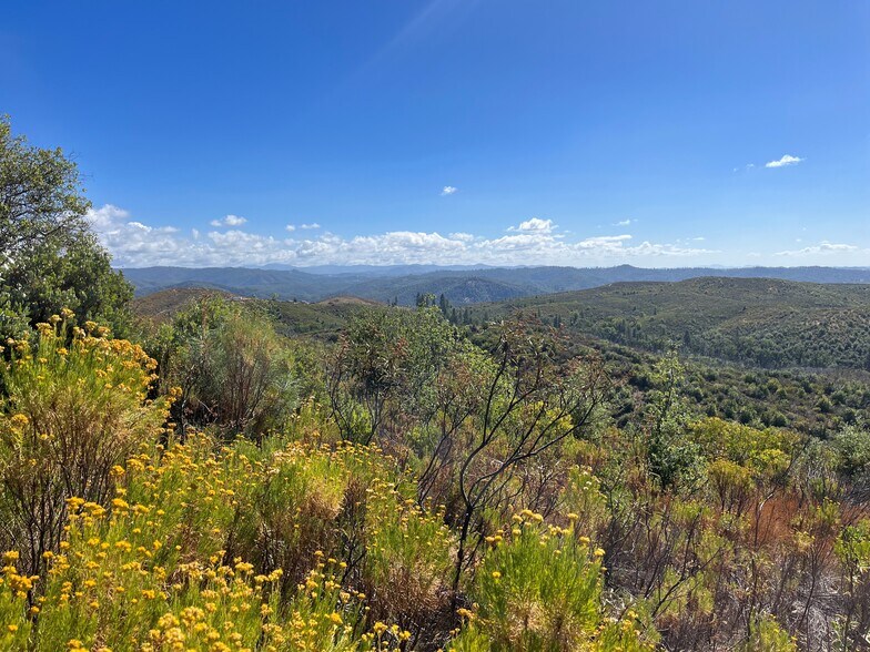 More Photos Of 7559 Alamo Rd, Mountain Ranch Land For Sale