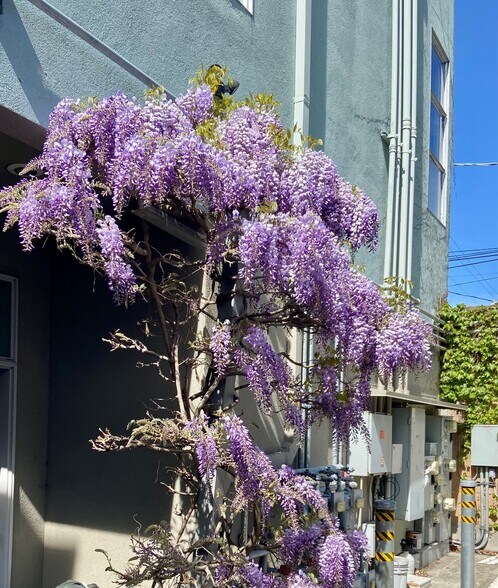 More Photos Of 2831-2849 7th St, Berkeley Office For Sale
