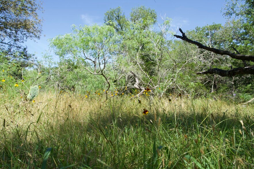 More Photos Of 00 Taylorsville Rd, Red Rock Land For Sale