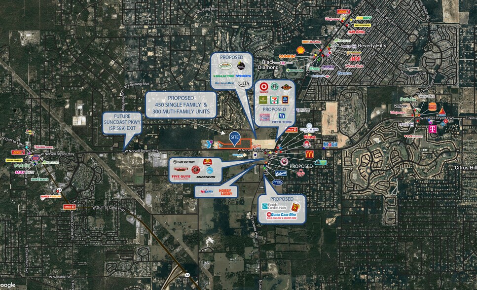 More Photos Of 0 W Norvell Bryant Hwy, Lecanto Land For Lease