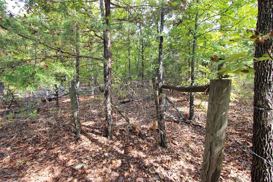 More Photos Of 226 Blythe rd, Greenbrier Land For Sale