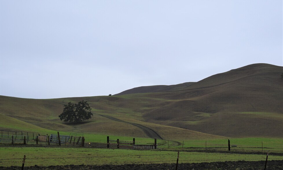 More Photos Of 1700 Finley Rd, Pleasanton Land For Sale