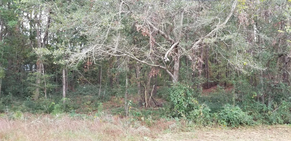 More Photos Of 1248 Highway 17, Little River Land For Sale