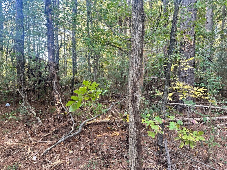 More Photos Of 00 NE Hwy 411, Rydal Land For Sale