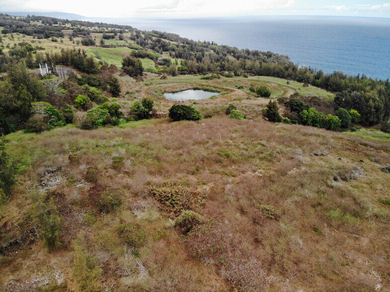 More Photos Of Tract E, Honokaa Land For Sale