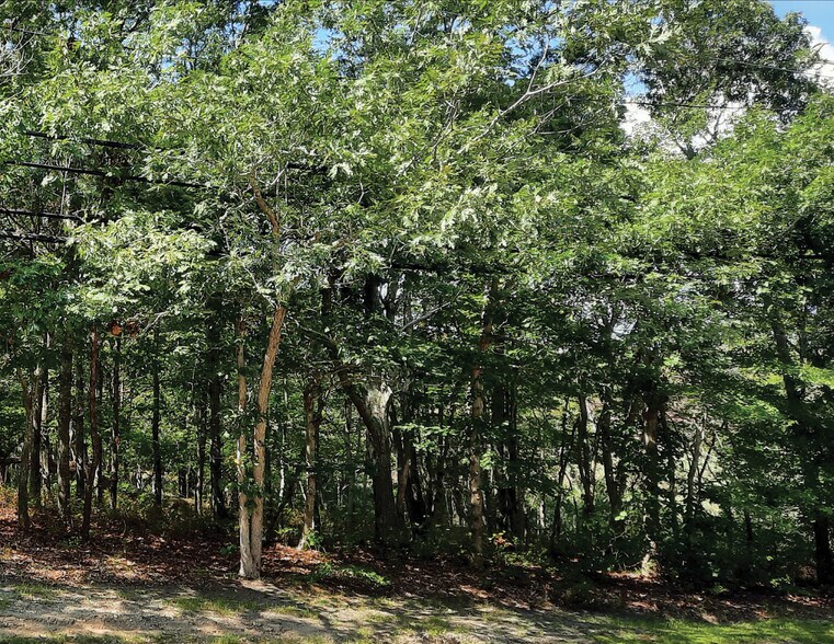 More Photos Of 149 Montauk Hwy, Quogue Land For Sale