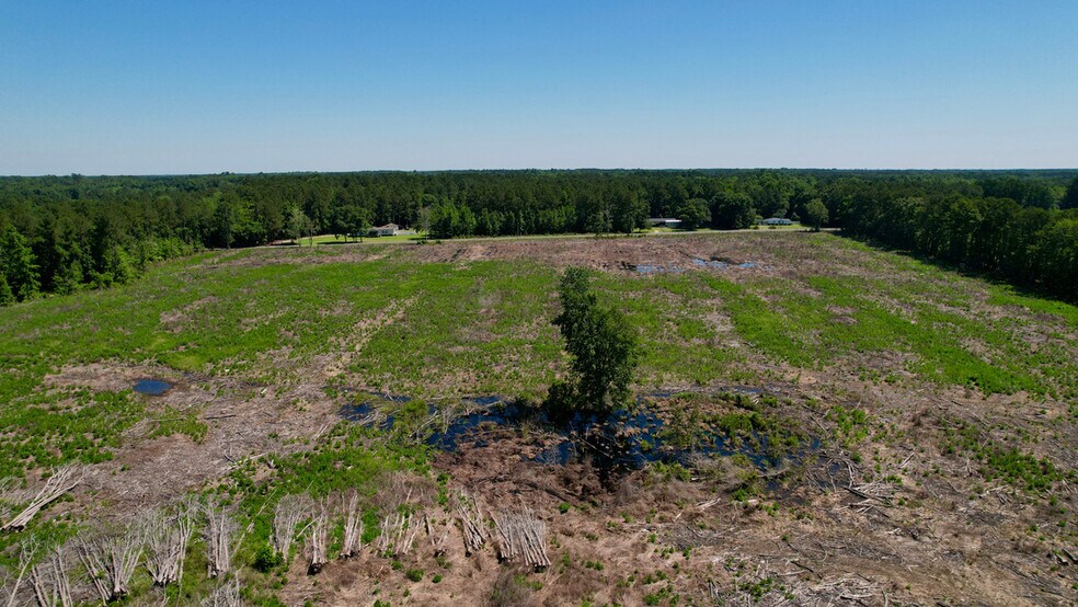 More Photos Of , Reevesville Land For Sale