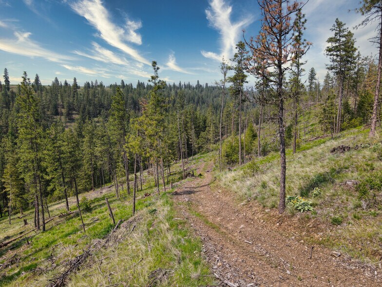 More Photos Of 45XXX Devore Rd, Davenport Land For Sale