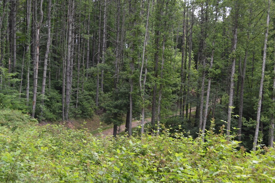 More Photos Of 6421 Highway 91 N, Laurel Bloomery Warehouse For Lease