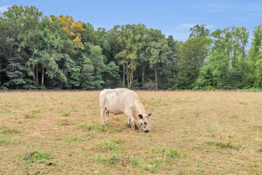 More Photos Of 208 Acres Preserved Farmland Rd, Cream Ridge Land For Sale