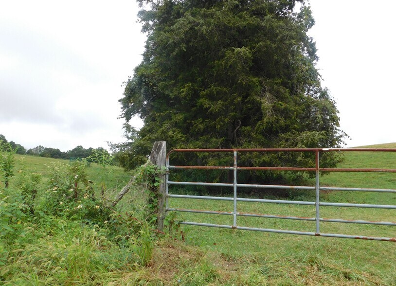 More Photos Of Chapman Rd, LaFollette Land For Sale