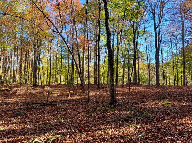 More Photos Of 0 Old Pluto Rd, Shady Spring Land For Sale