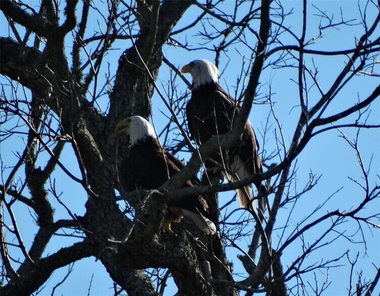 More Photos Of 2810 Precinct Line Rd, Richmond Land For Sale