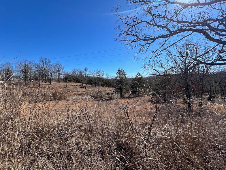 More Photos Of 4900 Us Highway 160, Theodosia Self Storage For Sale