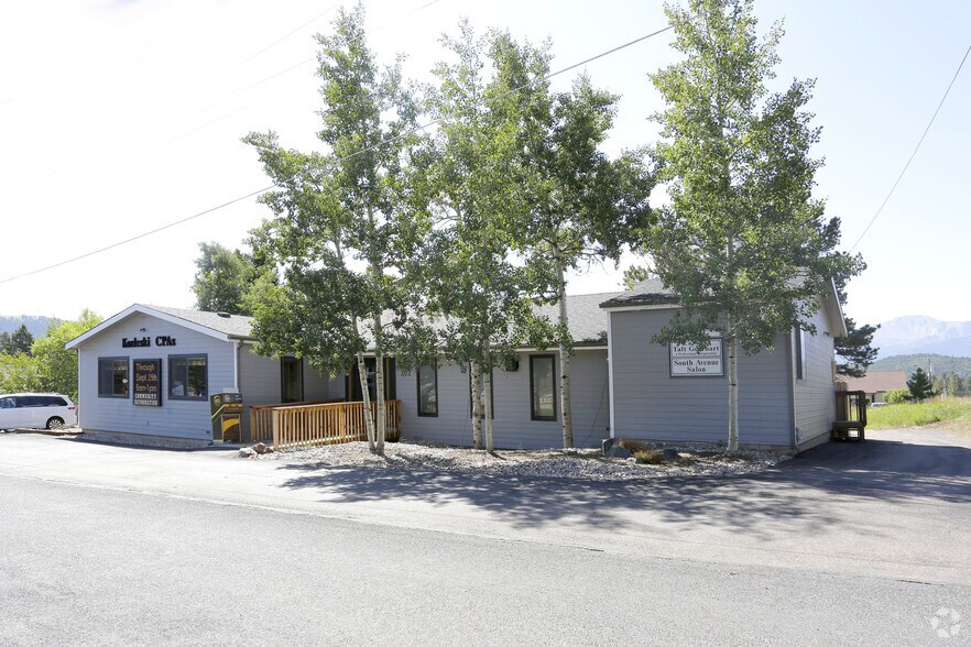 Primary Photo Of 210 N Pine St, Woodland Park Office For Sale