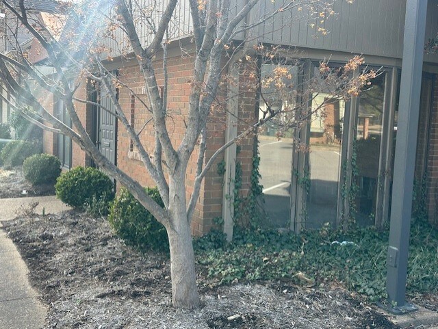 More Photos Of 6244 Poplar Ave, Memphis Medical For Sale