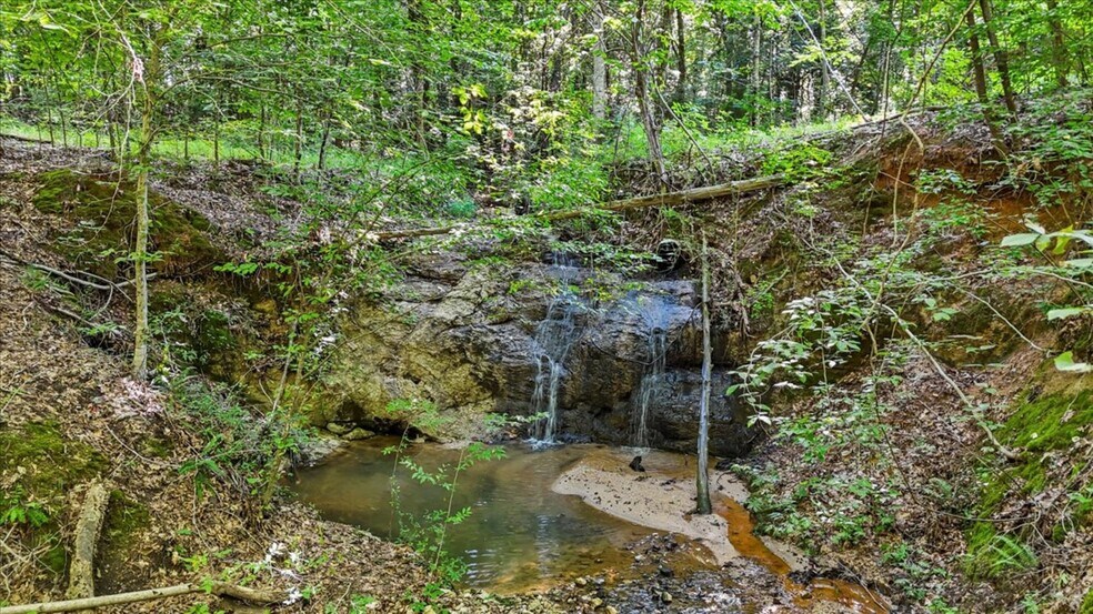 More Photos Of 1443 Henderson Rd, Gray Court Land For Sale