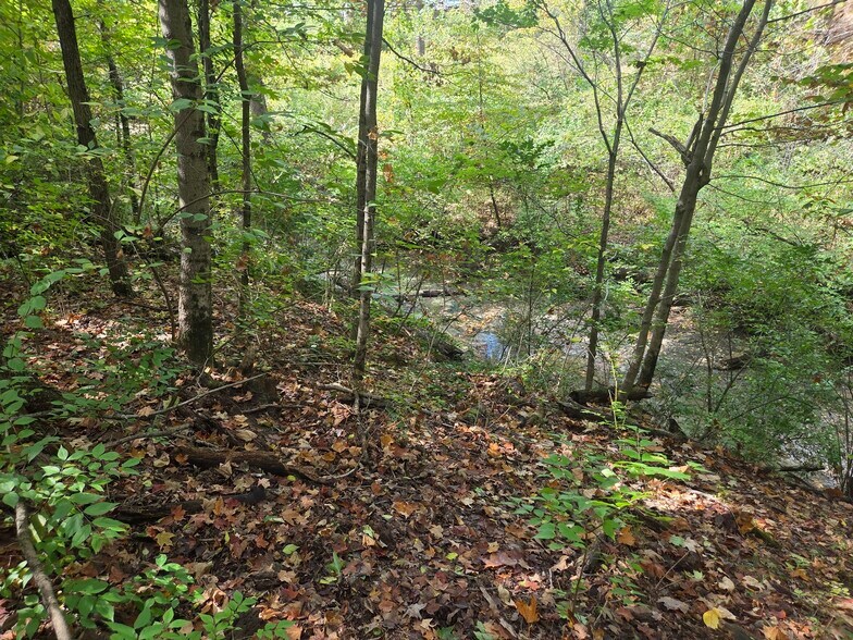 More Photos Of 0 Beecher Crossing Rd N, Gahanna Land For Sale