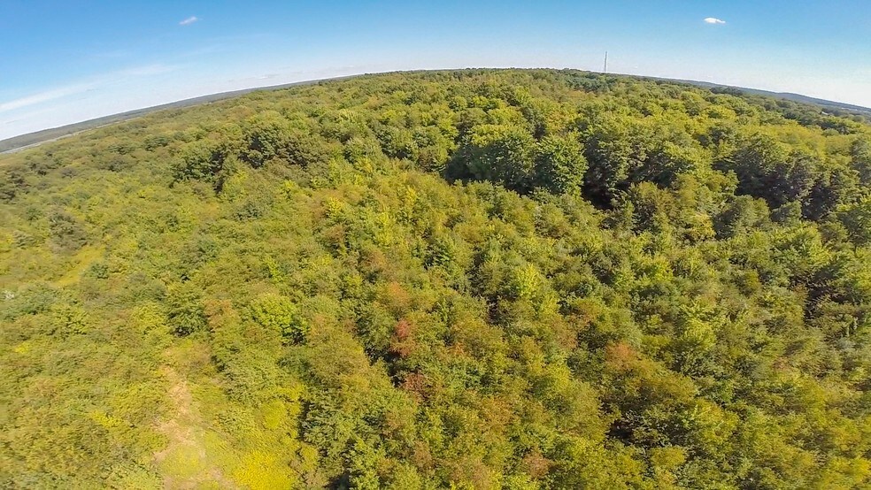 More Photos Of 12676 Main Market Rd, Burton Land For Sale