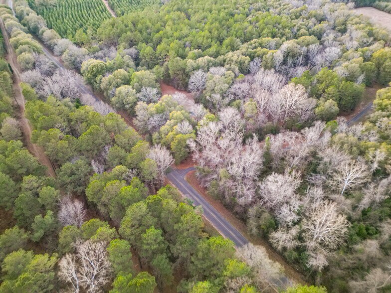 More Photos Of 9036 Bullard Rd, Dry Branch Lodge Meeting Hall For Sale