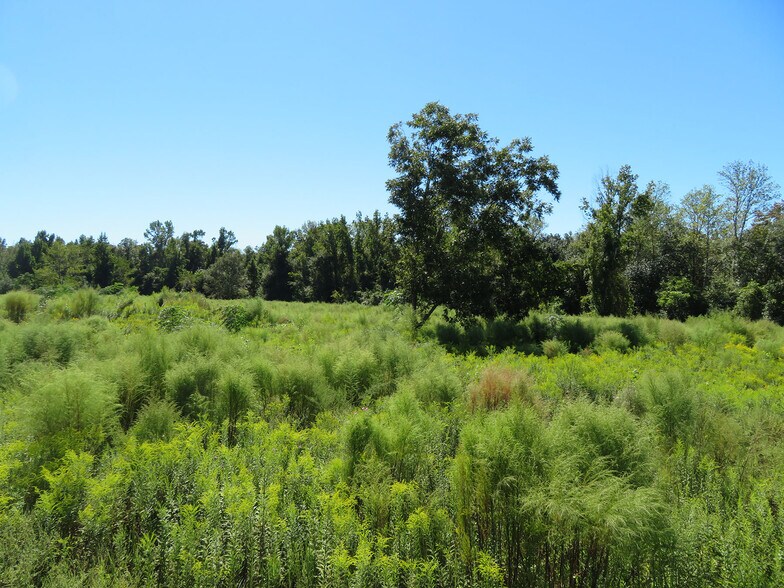 More Photos Of Xxxx Greensboro Hwy, Gretna Land For Sale