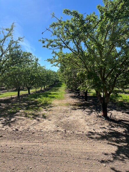 More Photos Of 6000 Tim Bell Rd, Oakdale Land For Sale