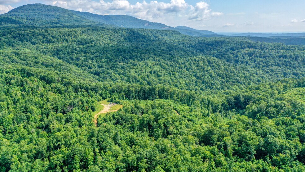 Dutch, Briceville, TN 37710 Land For Sale