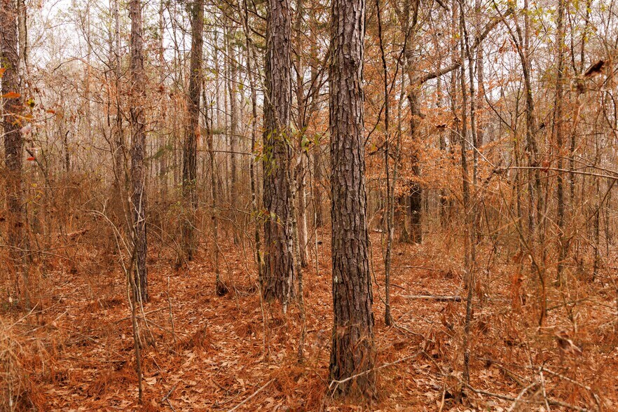 More Photos Of Jug Factory Road, Wetumpka Land For Sale