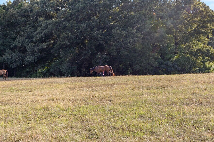 More Photos Of 4091 Hollonville Rd, Williamson Land For Sale