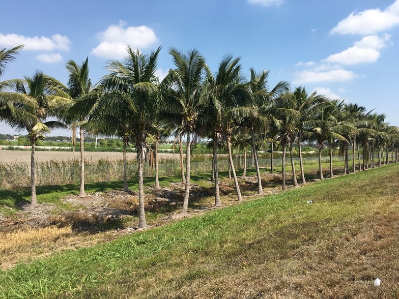 More Photos Of SW 328th St @ Florida Turnpike, Homestead Land For Sale