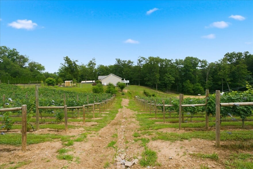 More Photos Of 1309 Redland Rd, Cross Junction Winery Vineyard For Sale