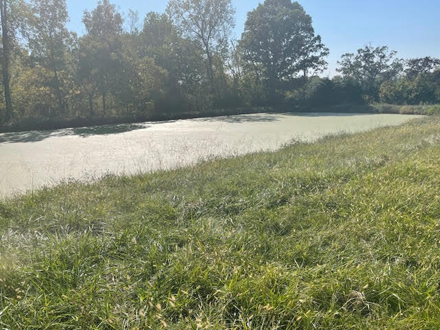 More Photos Of 1106 Rim Rd, Quincy Manufactured Housing Mobile Home Park For Sale