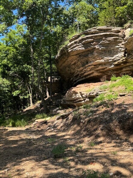 More Photos Of 190 Edgewater Dr, Eureka Springs Land For Sale