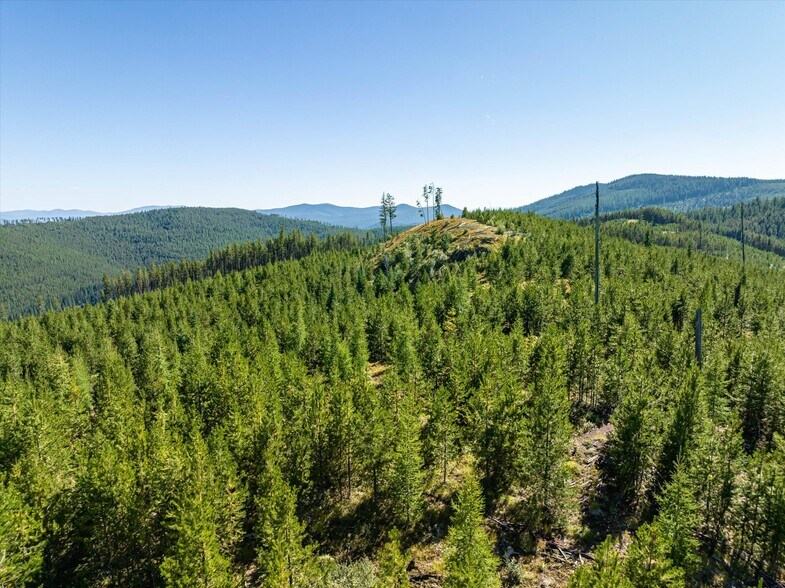 More Photos Of Nhn Logan Creek Road, Kila Land For Sale