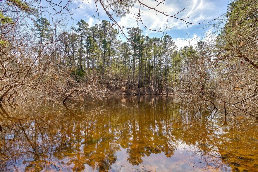 More Photos Of 439 County Road 3190, Winnsboro Land For Sale